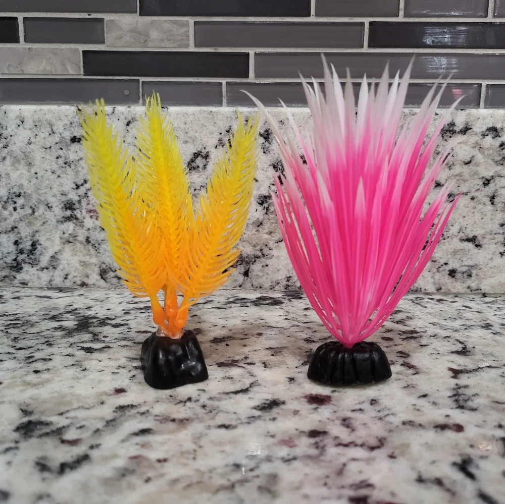 Fish Tank and Accessories